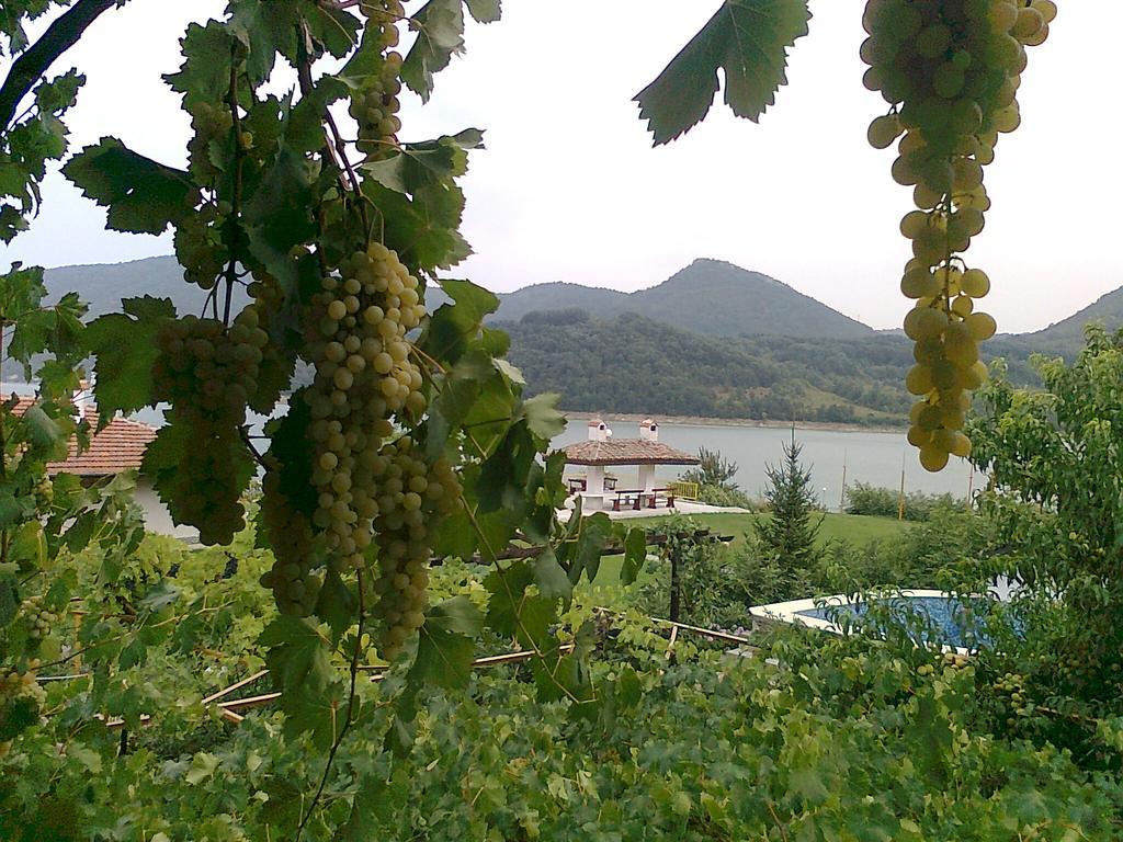 Family Hotel Belvedere Dulgopol Екстер'єр фото