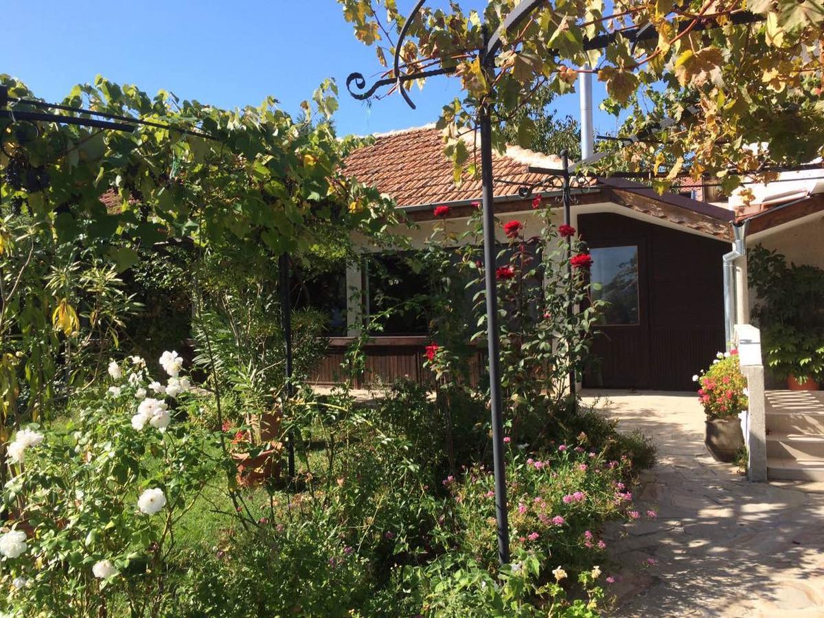 Family Hotel Belvedere Dulgopol Екстер'єр фото