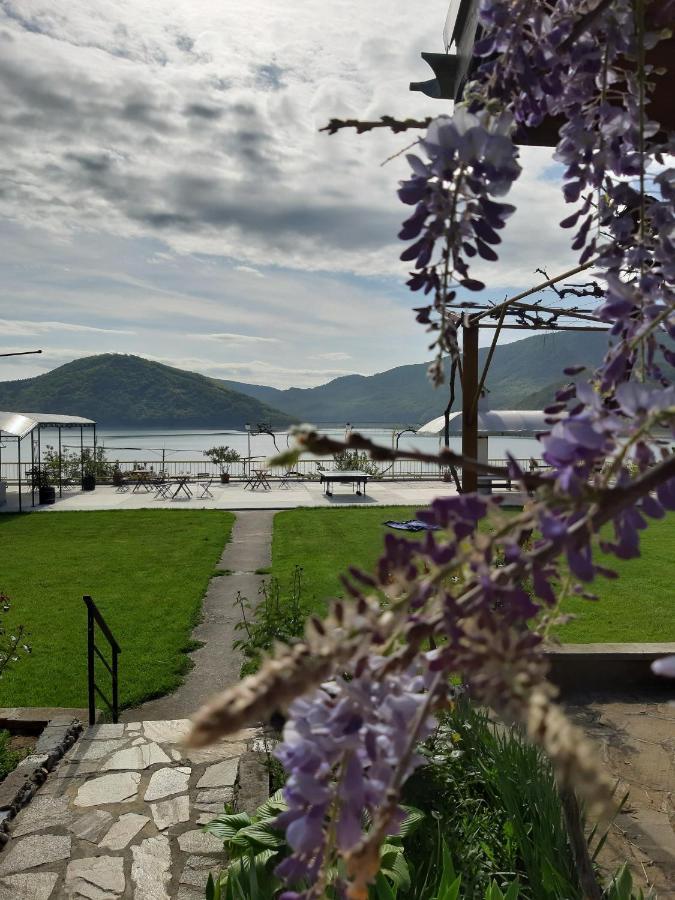 Family Hotel Belvedere Dulgopol Екстер'єр фото